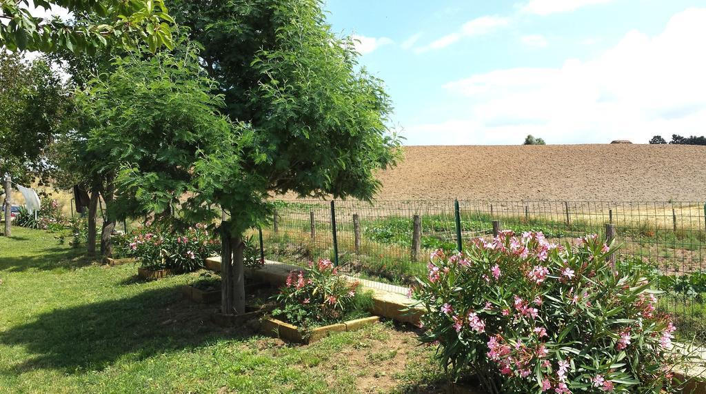 Agriturismo Airone 피틸리아노 외부 사진